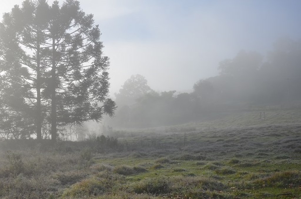 frio