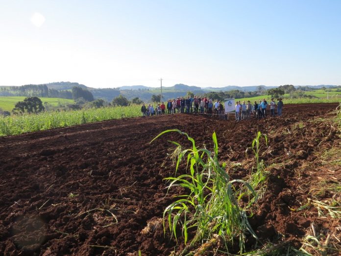dia-campo-solo-carlos-gomes